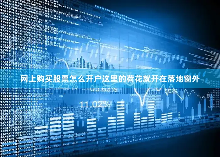 网上购买股票怎么开户这里的荷花就开在落地窗外