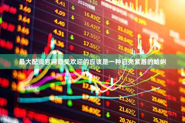 最大配资官网最受欢迎的应该是一种白壳紫唇的蛤蜊