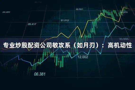 专业炒股配资公司敏攻系（如月刃）：高机动性